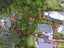 73 Meadowbank Road, Meadowbank, Auckland - Carousel 17