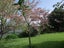 50 Saint Martins Road, Saint Martins, Christchurch - Carousel 3