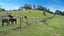 234 Horokiwi Road, Horokiwi, Wellington - Carousel 17
