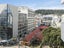 612/74 Taranaki Street, Te Aro, Wellington - Carousel 10