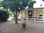 45 Charles St, Carterton, Carterton - Carousel 12