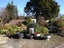 69 Oxford Street, Lansdowne, Masterton - Carousel 14
