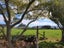 946 Whirinaki Valley Road, Rotorua - Carousel 8