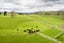 73 Vinegar Hill Road, Hunterville - Carousel 4