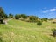 31 Flaxmere Street, Waikanae Beach, Waikanae - Carousel 25