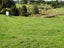 543 Three Mile Bush Road, Te Kamo, Whangarei - Carousel 26