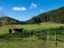 1513 Hikumutu Road, Hikumutu, Taumarunui - Carousel 15