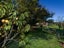 101 Campbell Road, Brunswick, Whanganui - Carousel 13