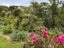 9 Palm Grove, Belmont, Lower Hutt - Carousel 23