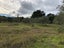 0 Inland Road, Karikari Peninsula - Carousel 5
