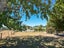 339 Watersons Line, Dalefield - Carousel 20