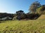 69 Korokoro Road, Korokoro, Lower Hutt - Carousel 8