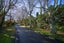 109 Shirriffs Road, Awapuni, Palmerston North - Carousel 2