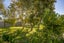 127 Chalmers Road, Elgin, Gisborne - Carousel 6