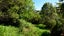 73 Washington Road, Washington Valley, Nelson - Carousel 18