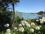 33 Martin Street, Monaco, Nelson - Carousel 16