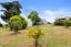 28 Trig Hill Road, Onetangi, Waiheke Island - Carousel 5