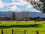 0 Kuratawhiti St, Greytown - Carousel 7