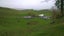 0 Waituna Tapuae Road, Waituna West, Feilding - Carousel 2
