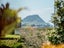 2 Haukore Street, Hairini, Tauranga - Carousel 3