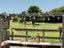 8/35 Bureta Road, Otumoetai, Tauranga - Carousel 11