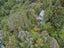 36 Tanekaha Road, Titirangi, Auckland - Carousel 21