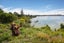 103 Kauri Road, Whenuapai, Auckland - Carousel 6
