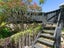 9 Fernleigh Street, Ferndale, New Plymouth - Carousel 18