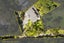 194B Huia Road, Titirangi, Auckland - Carousel 19