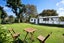 69 Barrington Street, Somerfield, Christchurch - Carousel 2