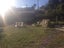 40 Horokiwi Road West, Newlands, Wellington - Carousel 6