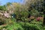 115 Kaipi Road, Egmont Village, New Plymouth - Carousel 16