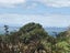 2 Ocean View Crescent, Rakino Island, Auckland - Carousel 4