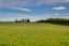 836 Oxford Road, Fernside, Rangiora - Carousel 4