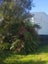 18 Neils Beach Road, Jackson Bay, Haast - Carousel 6