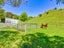 47 Mitchell Road, Puketapu, Napier - Carousel 21