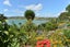 813 Whangarei Heads Road, Whangarei - Carousel 16