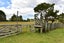 2981 State Highway 14, Tangiteroria - Carousel 18
