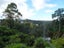 12 Barton Street East, Blockhouse Bay, Auckland - Carousel 3