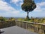 880 Scenic Drive, Swanson, Henderson - Carousel 6