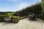 11 Dalmeny Street, North East Valley, Dunedin - Carousel 16