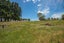 610 Three Mile Bush Road, Te Kamo, Whangarei - Carousel 17