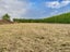 104 Hoggs Road, Kuku, Levin - Carousel 6