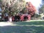 0 Ellison Rd, Norsewood - Carousel 20
