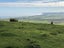0 Kaitaia Awaroa Road, Ahipara, Kaitaia - Carousel 24