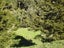 543 Three Mile Bush Road, Te Kamo, Whangarei - Carousel 24