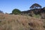 32 Tiri Road, ONEROA, WAIHEKE ISLAND - Carousel 8
