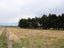 504 Lauder-Matakanui Road, DRYBREAD, OMAKAU - Carousel 19