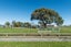 99 Peter Hall Drive, Kelvin Grove, Palmerston North - Carousel 20