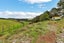 113 Addison Road, Pataua South, Parua Bay - Carousel 7